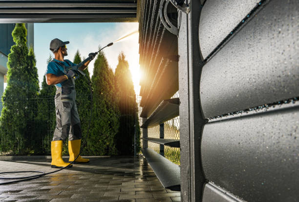 Best Soft Washing  in Skidway Lake, MI