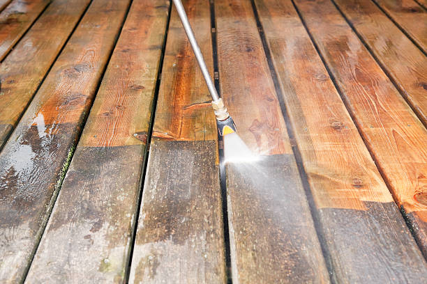 Best Gutter Cleaning  in Skidway Lake, MI